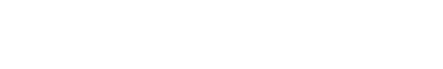 Logo Soueast S06IDM blanco
