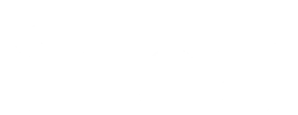Logo Soueast S09 blanco